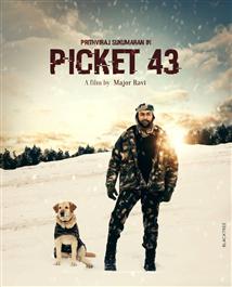 Picket 43